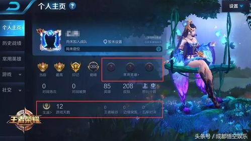 在哪看王者英雄爆料视频